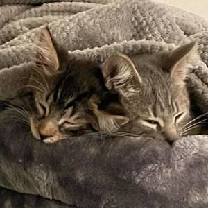 Meet your Posher, Melisa